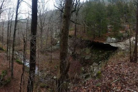 Jackson Falls