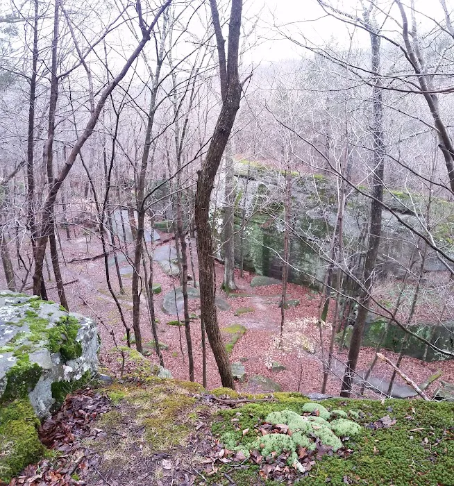 Jackson Falls 9