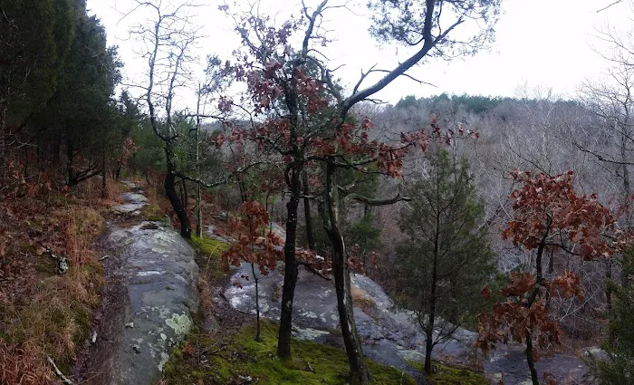 Jackson Falls 10