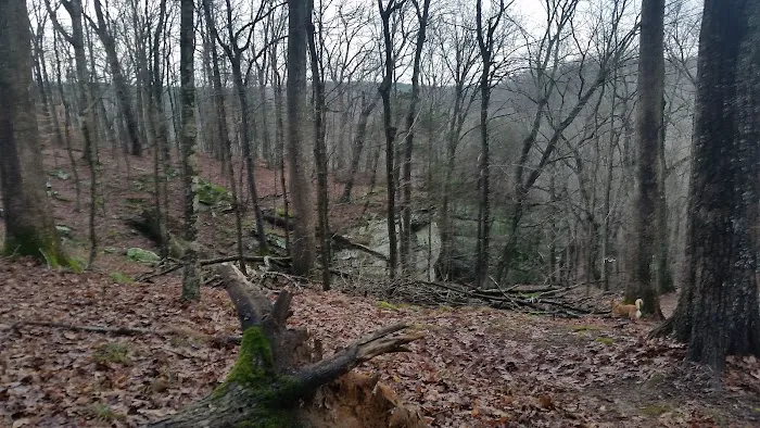 Jackson Falls 7