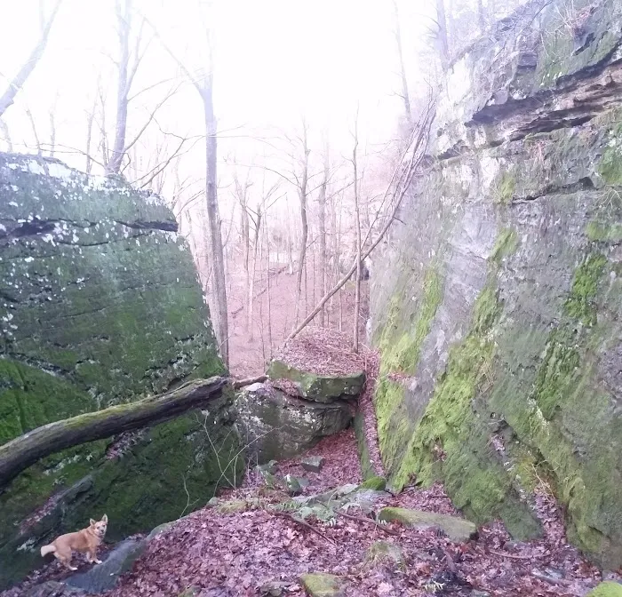 Jackson Falls 8