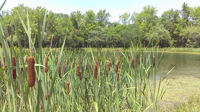 Jonesburg Gardens Campground 6