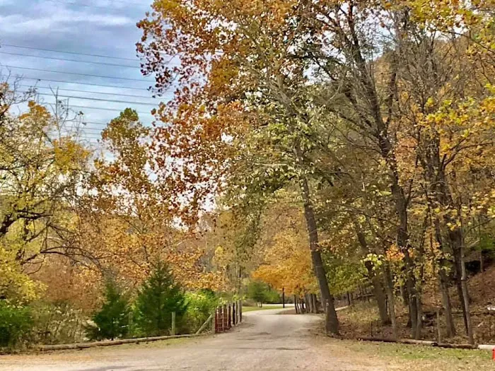 Beaumont Scout Reservation 8