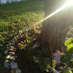 Avery Mobile Home Park