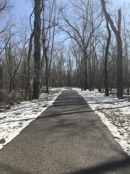 Kaskaskia River Project Campground 10