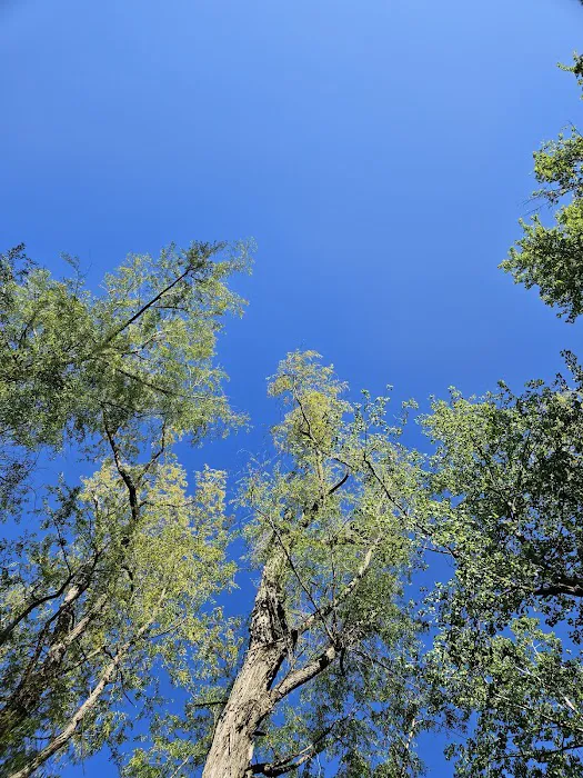 Kaskaskia River Project Campground 5