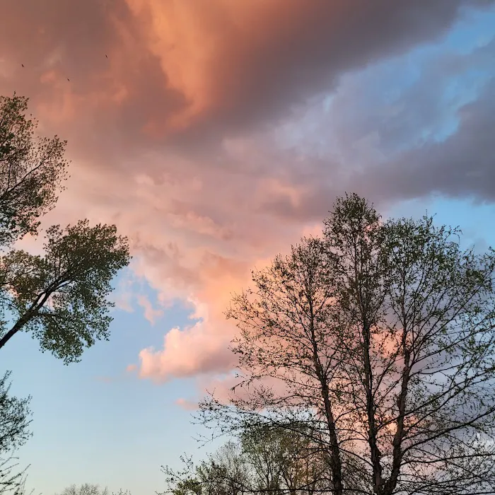 Kaskaskia River Project Campground 1