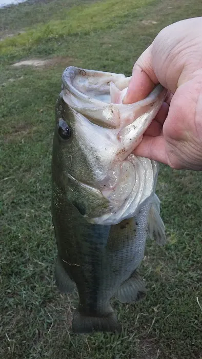 Lake Campalot 8