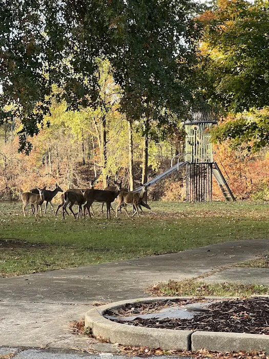 Oak Valley Campground & RV Resort 5