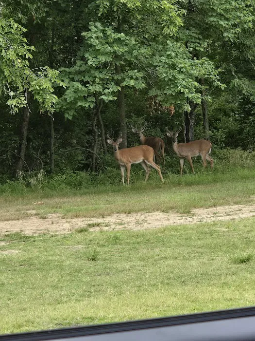 Oak Valley Campground & RV Resort 2