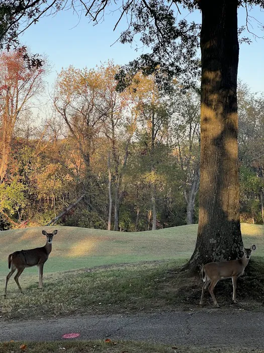 Oak Valley Campground & RV Resort 4