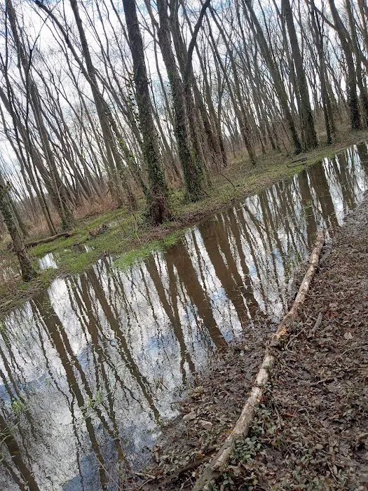 Leif J. Sverdrup Campsite 1