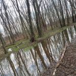 Leif J. Sverdrup Campsite