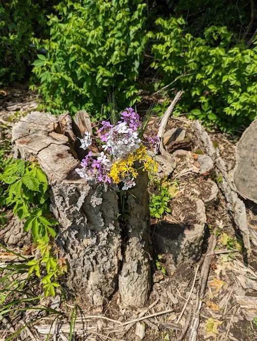 Caesar Creek State Park Horseman's Campground 1