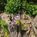 Caesar Creek State Park Horseman's Campground