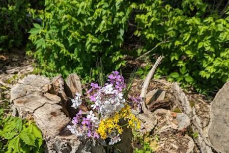 Caesar Creek State Park Horseman's Campground
