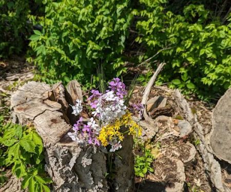 Caesar Creek State Park Horseman's Campground