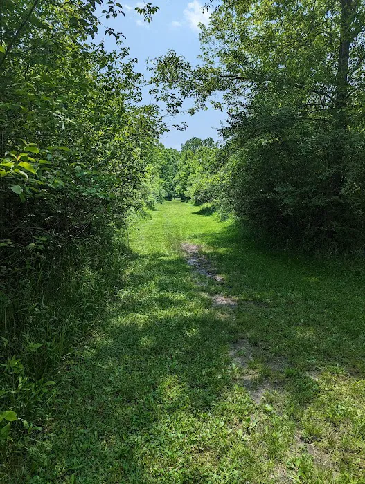 Caesar Creek State Park Horseman's Campground 4
