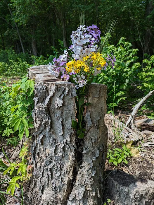 Caesar Creek Horseman’s Group Camp 2