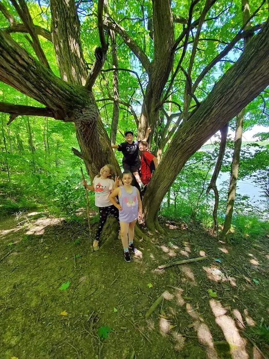 Fifty Springs Group Campground 6