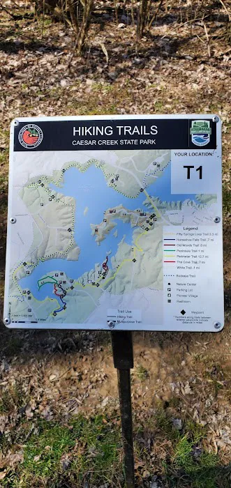 Fifty Springs Group Campground 4