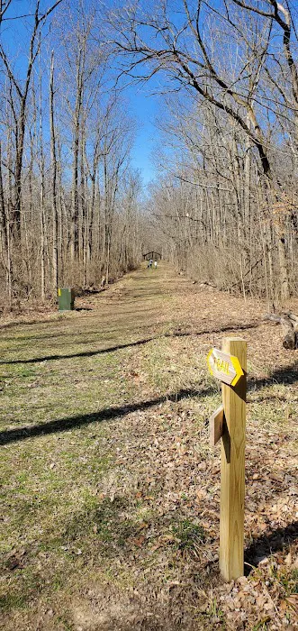 Fifty Springs Group Campground 1