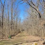 Fifty Springs Group Campground