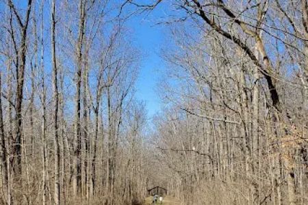 Fifty Springs Group Campground