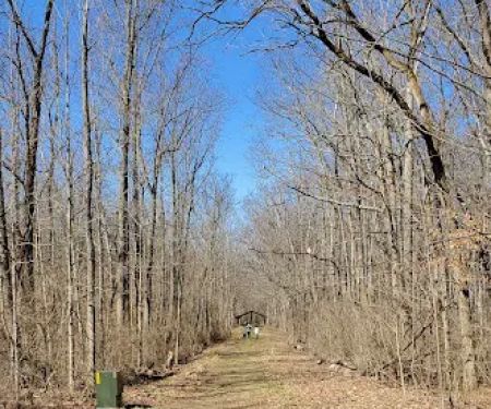 Fifty Springs Group Campground