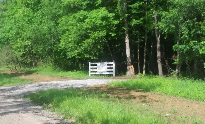 Todds Fork Adventures 4
