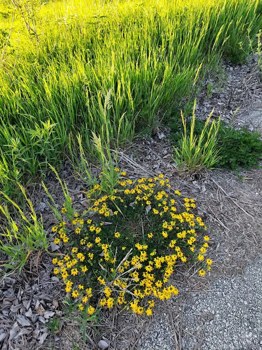 Beaver Lake Campground 10