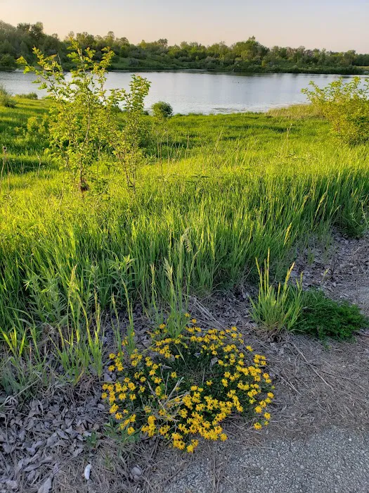 Beaver Lake Campground 9