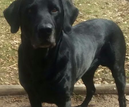 Salisbury Campground