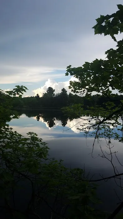 Loon Lake Campground 3
