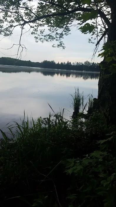 Loon Lake Campground 6