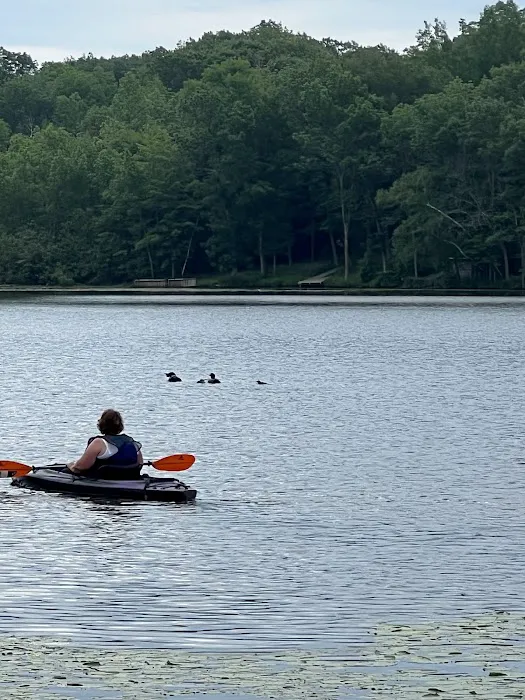 Lured In Resort & Campground 8