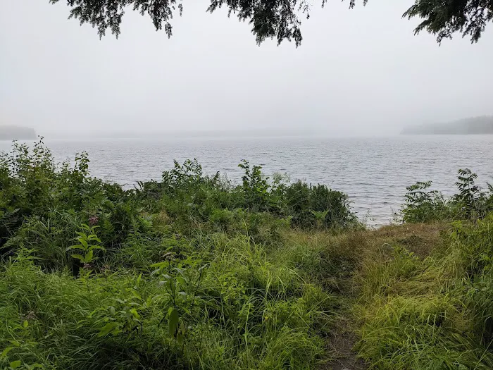 Perch Lake Campground 4