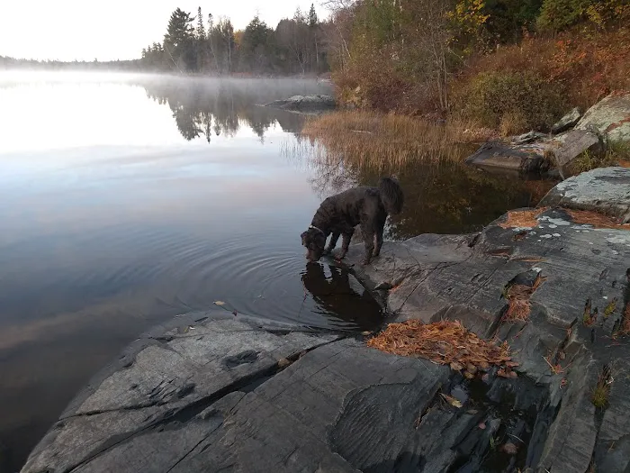 Perch Lake Campground 9
