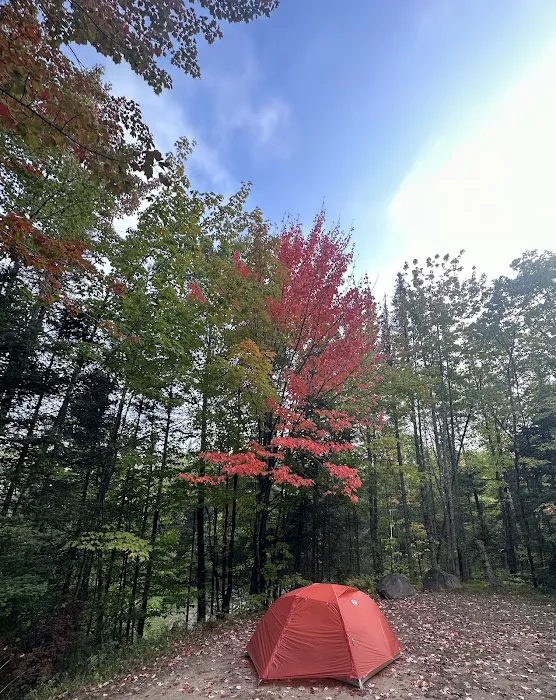 King Lake State Forest Campground 4
