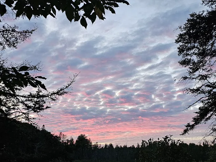 King Lake State Forest Campground 6