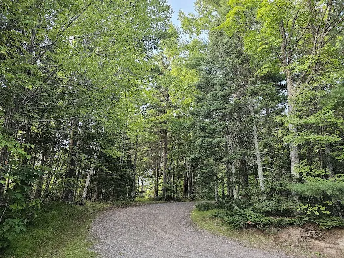 King Lake State Forest Campground 5