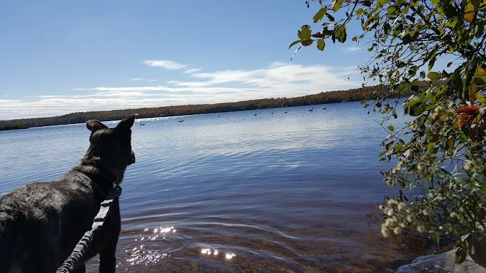Beaufort Lake State Forest Campground 1