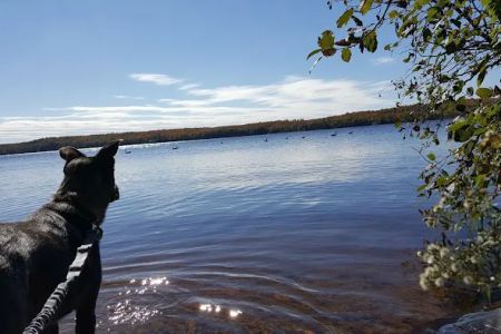 Beaufort Lake State Forest Campground