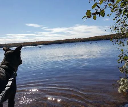 Beaufort Lake State Forest Campground