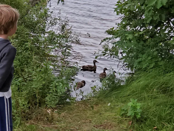 Beaufort Lake State Forest Campground 10