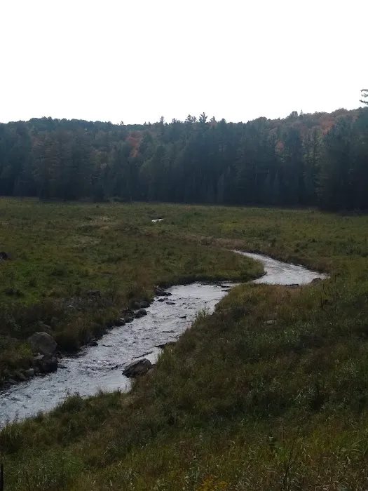 Lower Dam Lake Campground 3