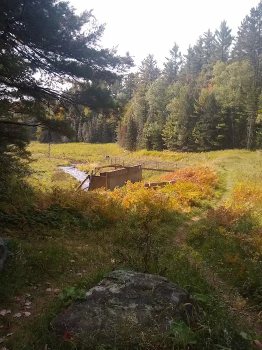 Lower Dam Lake Campground 6