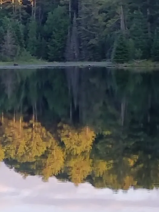 Lower Dam Lake Campground 5
