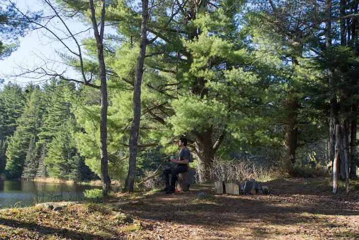 Lower Dam Lake Campground 10