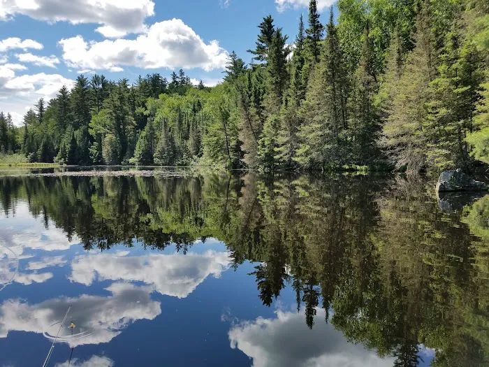 Lower Dam Lake Campground 7